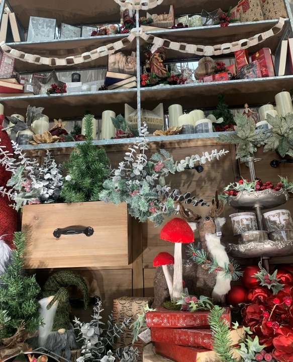 PR GARSONS NAMED TOP 3 BEST CHRISTMAS DESTINATION GARDEN CENTRE IN THE